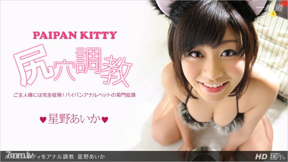 013113_523 013113_523 肛门训练白板小猫