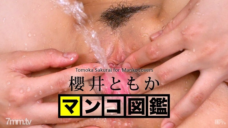 121515-001 121515-001 猫图画书 Tomo Sakurai 或 Tomo Sakurai