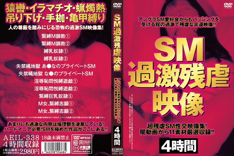 SM 과격잔학영상