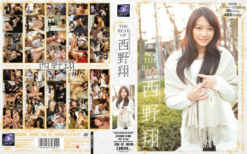 THE BEST OF 니시노 쇼