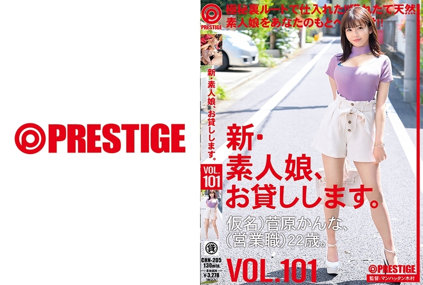 CHN-205 我會藉給你一個新的業餘女孩。 101 化名）菅原環奈（銷售職位）22 歲。 - 菅原かんな