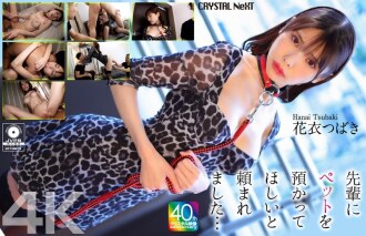CRNX-254 [4K] 學長拜託我照顧他的寵物…花衣椿 - 花衣つばき