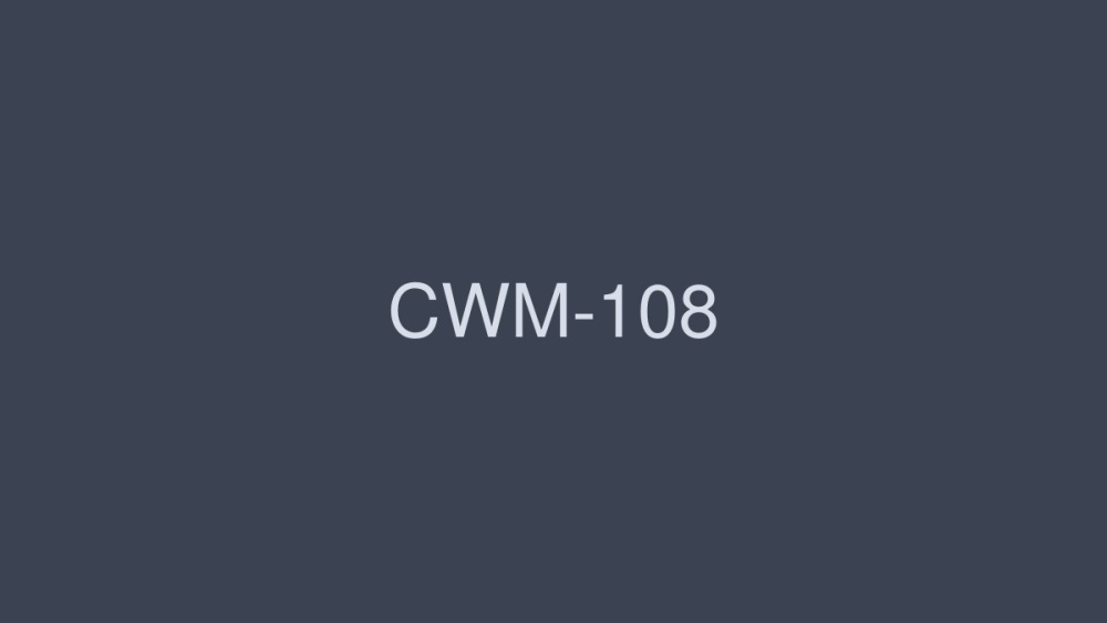 CWM-108 我讨厌老师 花井凛 高宫凉 - 鹰宫りょう在线观看