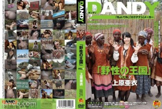 DANDY-368 《荒野之国》VOL.2 上原爱 - 上原亚衣