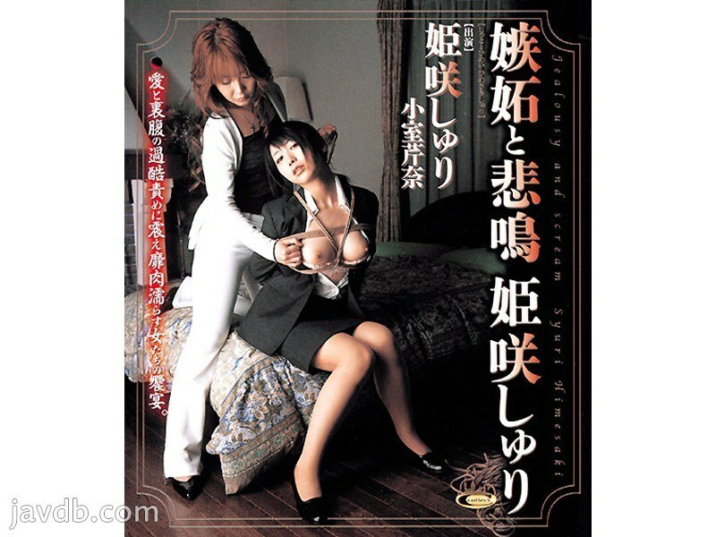 DD-125 嫉妒与吶喊姬咲首里 - 姫咲しゅり全集完整在线看