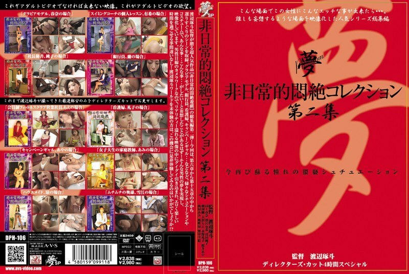 DPH-106 非凡的痛苦收藏 Vol.2 - 水野礼子在线观看