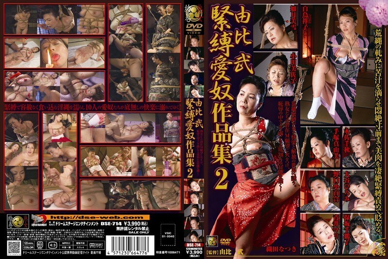 DSE-714 Yui Takeshi 束缚情人作品2 - 如月みゆき在线观看