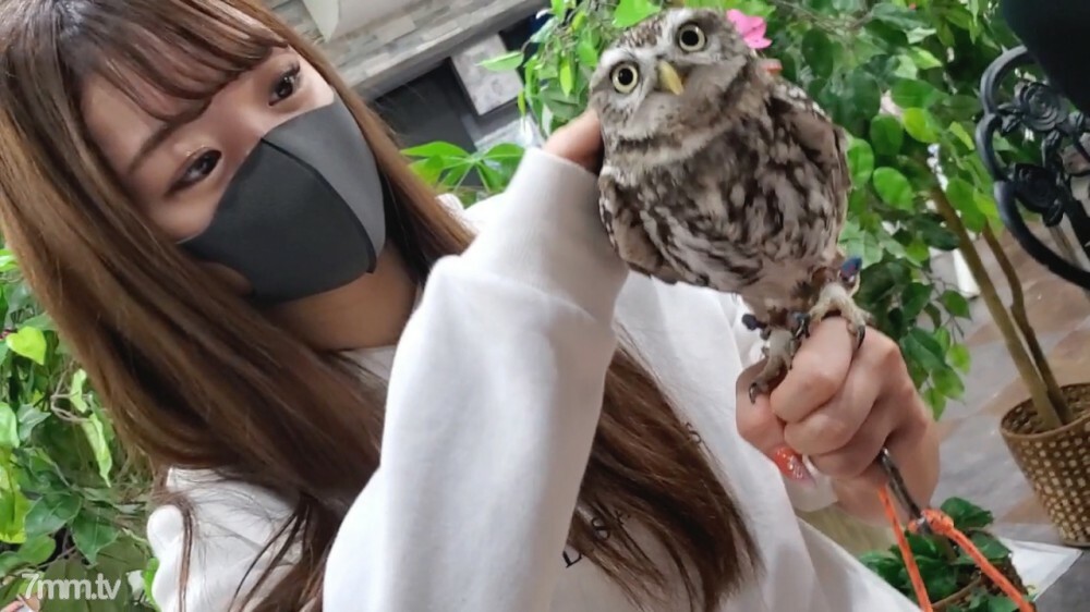 FC2-PPV-1794863 5/15前限3天！ ！！ [未经审查] 我在咖啡馆遇到的 JD 中出（第 1 部分）在线观看