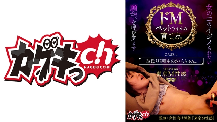 GRMO-159 如何饲养超级受虐狂宠物。案例 1 小樱正在和男友吵架。