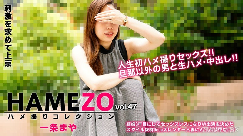 HEYZO-2943 玛雅一条 [玛雅一条] HAMEZO ~POV collection~ vol.在线观看