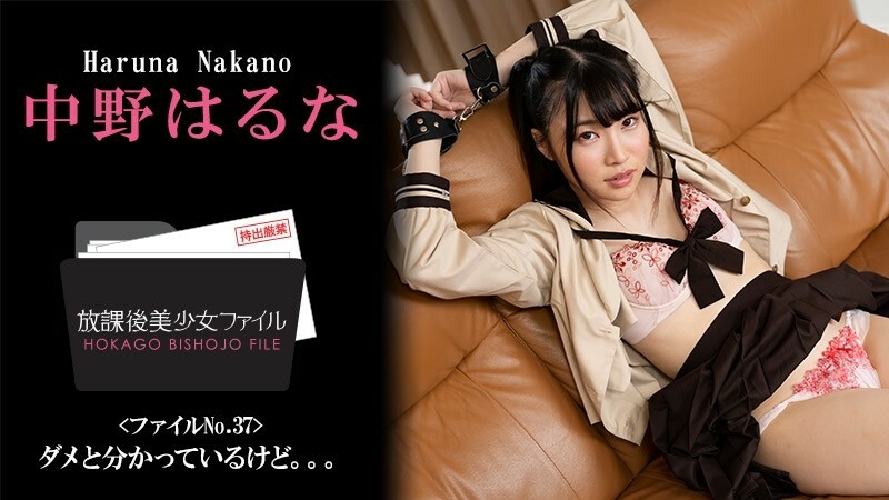 HEYZO-3044 中野春菜【中野春菜】放学后美少女檔案第37号～我知道不行。 。 。 ~ - 成人影片 HEYZO在线观看