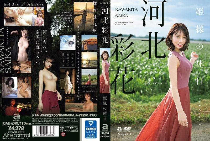 OAE-249 公主的假期 川北绫香 - 河北彩花在线观看