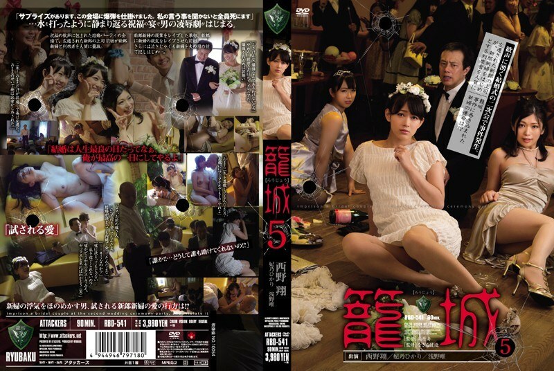RBD-541 RBD-541 围攻5 西野翔 日野唯浅野