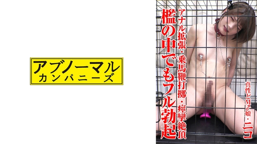 SACZ-431 SACZ-431 尼可 1