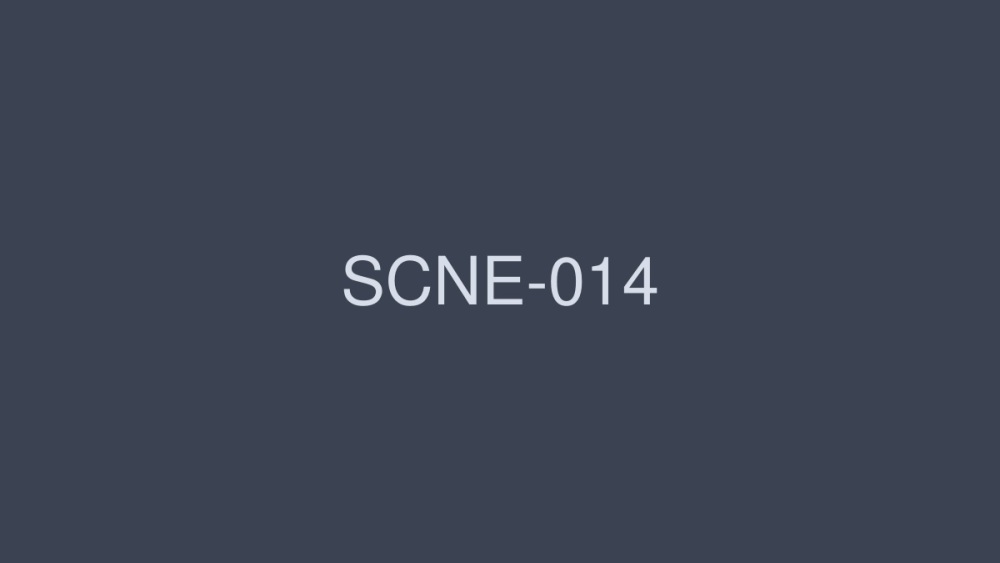 SCNE-014 超级旋风/野野村美雪 - 野々村みゆき在线观看