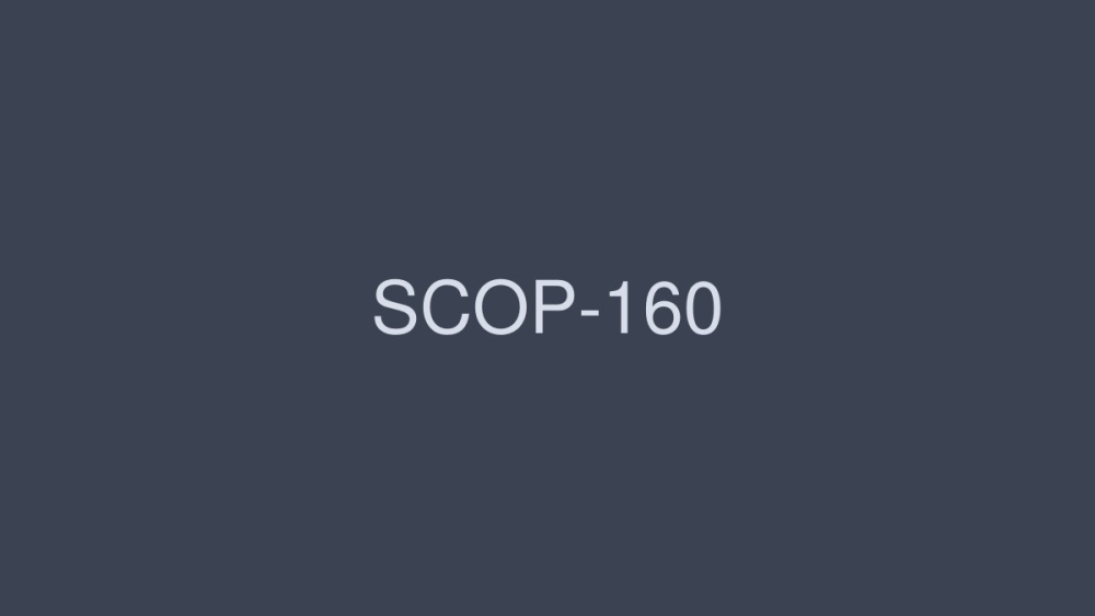 SCOP-160 SCOP-160 是有製作的后颱风俗，我在后面穿的时候，偷偷把胶皮拿下来原样放出来！五 - 霞理沙