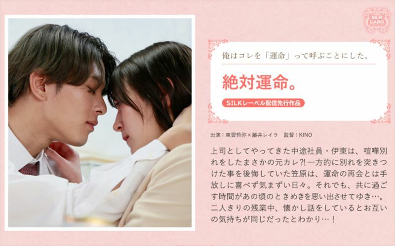 SILKS-117 绝对的命运。 - 藤井レイラ在线观看