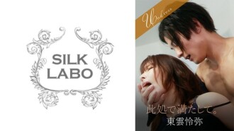 SILKU-102 在這裡填寫。筱雲麗也 新村明里 610 1 - 新村晶