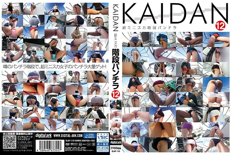 SLAP-110 SLAP-110 凯丹12