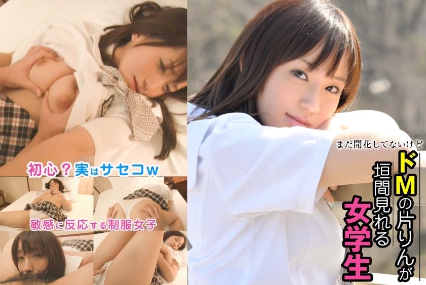 SRTD-213 一个尚未绽放的女学生，却能看出她的受虐狂性格。在线观看