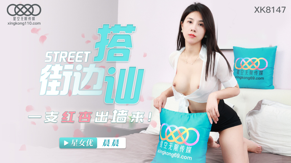 XK8147 街边搭讪 一隻红杏出墙来在线观看