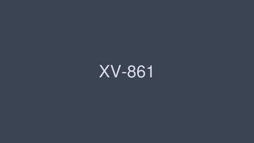 XV-861 美丽家庭的诱惑 一个挑衅的母亲，一个好斗的姐姐，一个忠诚的姐姐。 - 风间由美在线观看