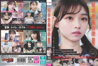 YDNS-001 火車性懲罰#001