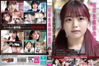 YDNS-011 YDNS-011 火车play惩罚 #011