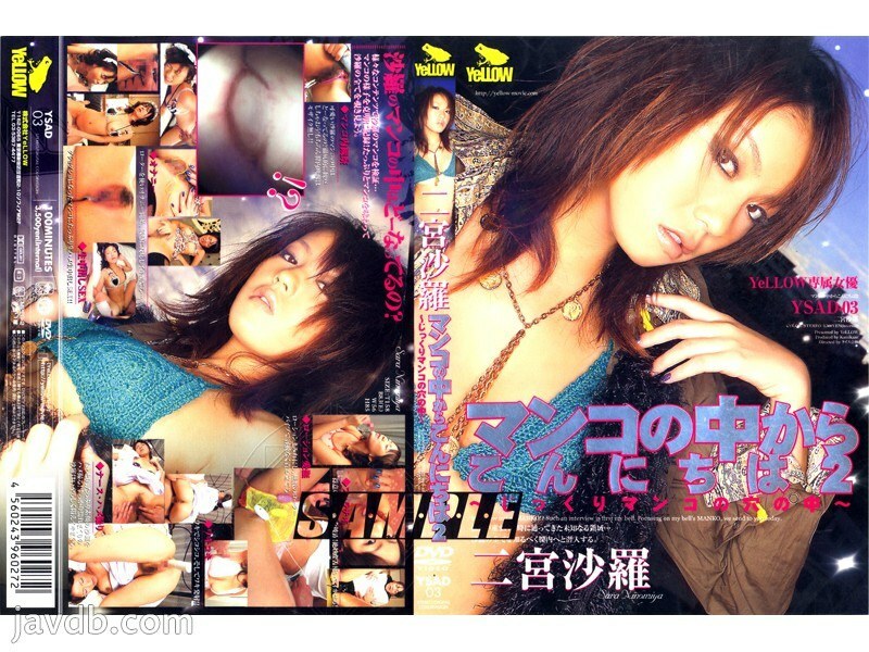 YSAD-03 从阴户里面问好 2 ~在阴户的洞里~ Sara Ninomiya - RION在线观看